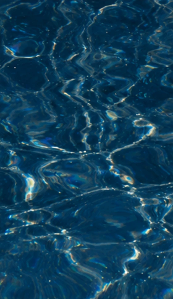 Black Pearl under water
