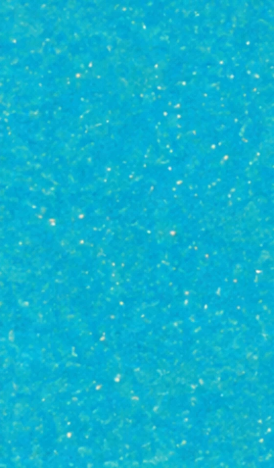 Coral Blue under water