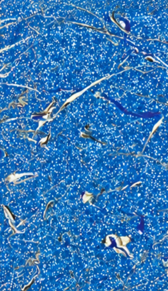 Midnight Glitter