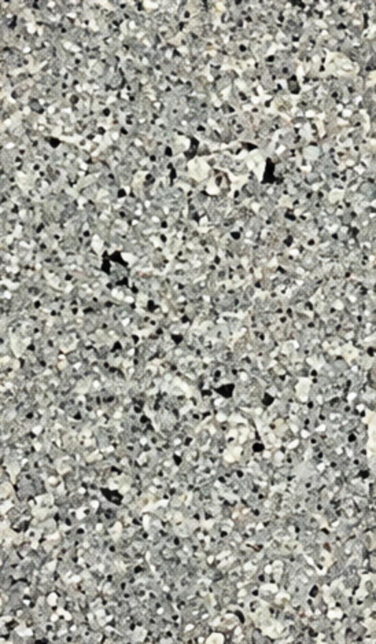Moonlight Oyster