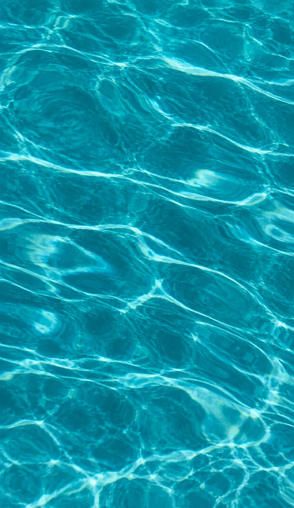 Teal under water